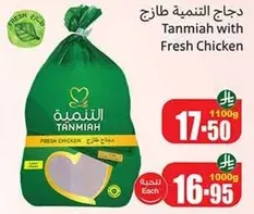 دجاج التنميه طازج