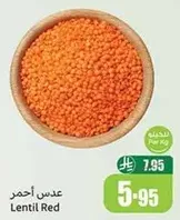 عدس احمر