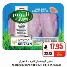Alyoum Chicken Breast Fillets 450g