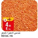 عدس احمر