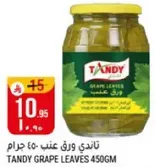 Tandy Grape Leaves 450g