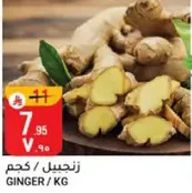 زنجبيل