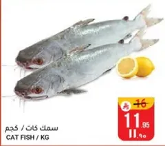 Cat fish sold by kilogram.