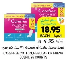 فوط يوميه، عاديه او معطره، 76 حبه، كبير فري.