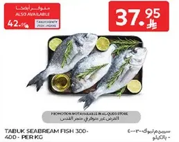 Tabuk Seabream Fish 300-400 per kg