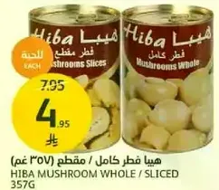 Hiba Mushroom Whole / Sliced