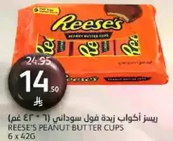 Reese's Peanut Butter Cups (6 x 42g)