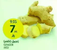 زنجبيل