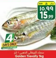 Golden Trevally 1kg