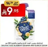 Organic Buss Blueberry Banana and Quinoa 100g
