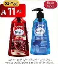 ويلز سايل غسيل الجسم واليدين 500 مل