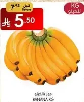 موز بالكيلو