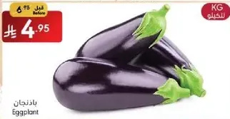 بادنجان