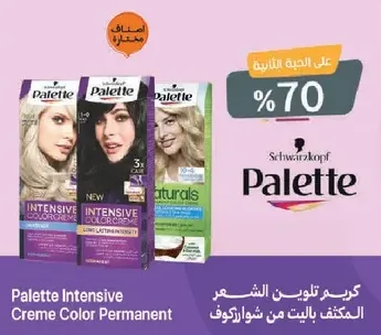 Palette Intensive Creme Color Permanent