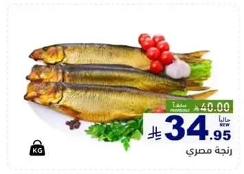 Egyptian fish.