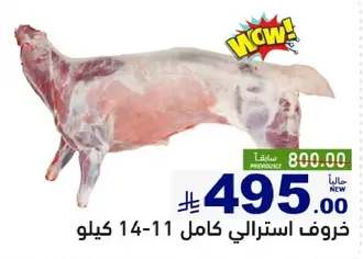 خروف استرالي كامل 11-14 كيلو.