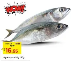 Ayalapara big 1 Kg