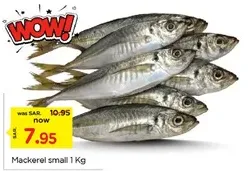 Mackerel small 1 Kg