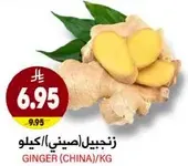 زنجبيل (صيني)