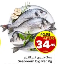 Seabream big Per Kg