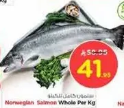 Norwegian Salmon Whole Per Kg
