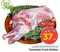 لحم الغنم الطازج التانزاني