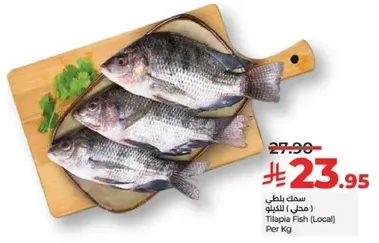 Tilapia Fish (Local)