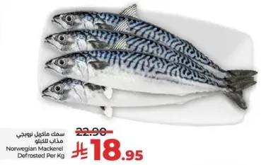 Norwegian Mackerel Defrosted Per Kg