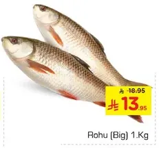 Rohu (Big) 1 Kg