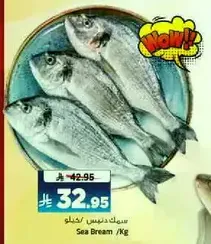 Sea Bream /Kg