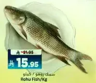 Rohu Fish