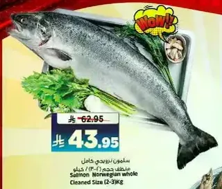 Salmon Norwegian whole Cleaned Size (2-3) Kg
