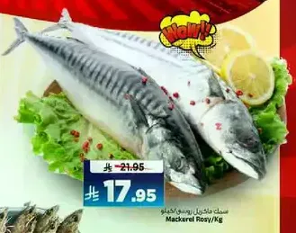 Rosy Mackerel Fish/Kg