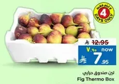 صندوق حاراي تين