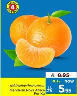 يوسفي نوفا افريقي