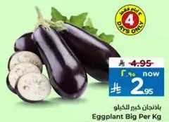 باذنجان كبير الكيلو