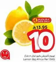 ليمون كبير من افريقيا لكل 1.5 كجم