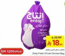 دجاج كامل طازج انتج