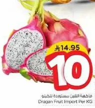 فاكهه التنين مستورده للكيلو