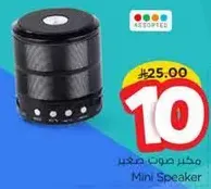 مكبر صوت صغير