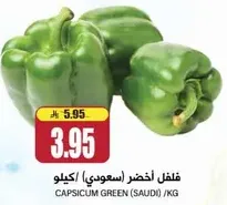 فلفل اخضر (سعودي) /كيلو