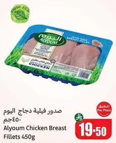 صدور فيليه دجاج اليوم 450جم