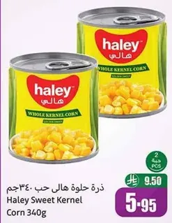 ذره حلوه هالي حب 340 جرام