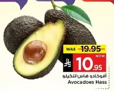 افوكادو هاس