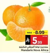 مندرين نوفا افريقي للكيلو