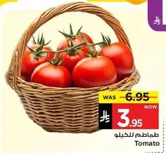طماطم للخليو