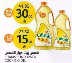 شمس زيت دوار الشمس