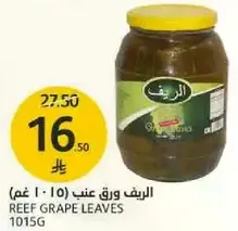 ورق عنب الريف