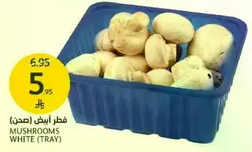 فطر ايش ابيض (صحن)