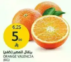 برتقال فالنسيا، مثالي للعصر.